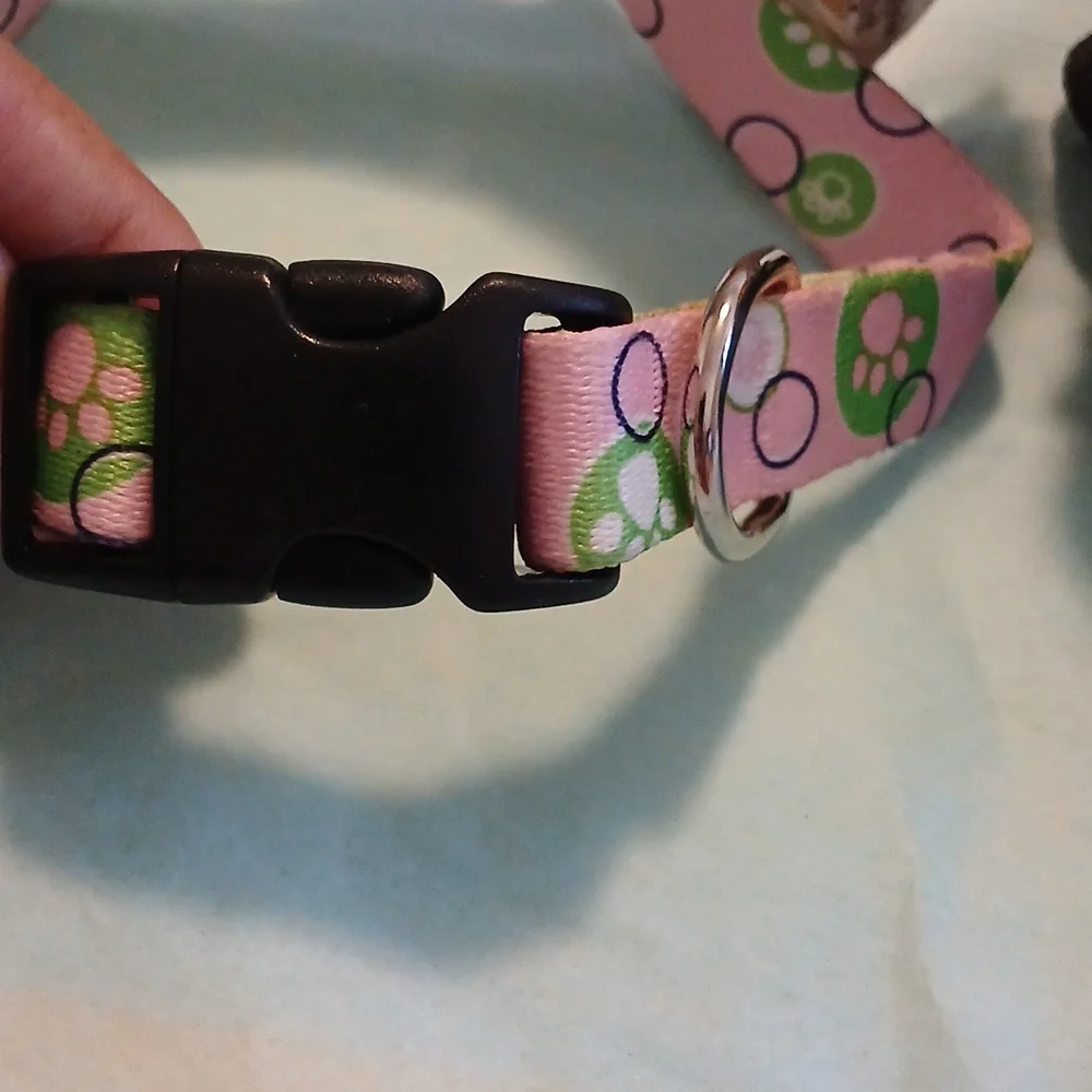 NWT The Scout Collar Adjustable Medium 14